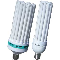 MaxLume Compact Fluorescent Bulbs