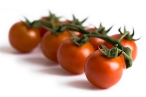 Tomato Nutrient Formulation