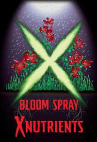 bloomspray