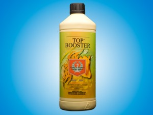 House and Garden Top Booster