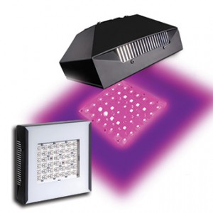 C.A.P. Xtreme LED grow light