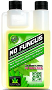 No Fungus