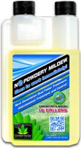 No Powdery Mildew