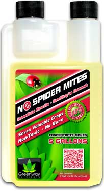 No Spider Mites