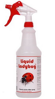 liquidladybug1