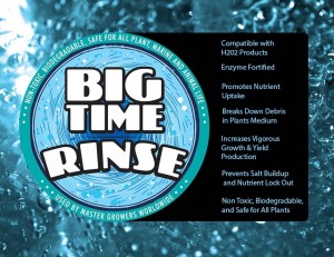 Big Time Rinse