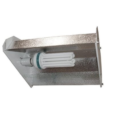200W CFL Bulb & Reflector Package