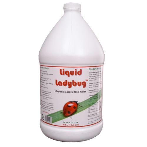 Liquid Ladybug Ready to Use – 1 Gallon