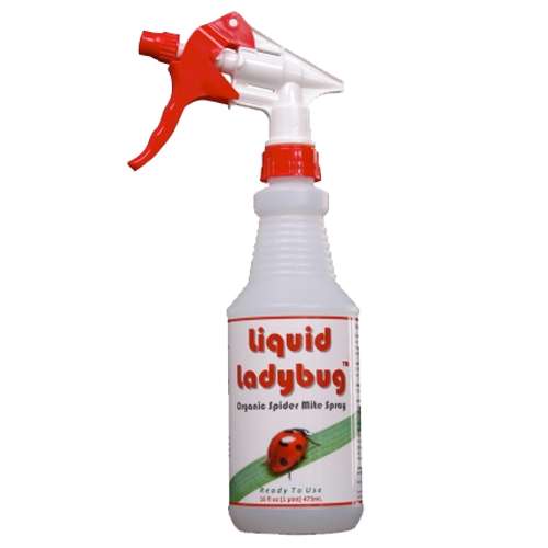 Liquid Ladybug Ready to Use – 16 oz