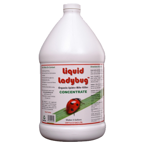 Liquid Ladybug Concentrate – 1 Gallon