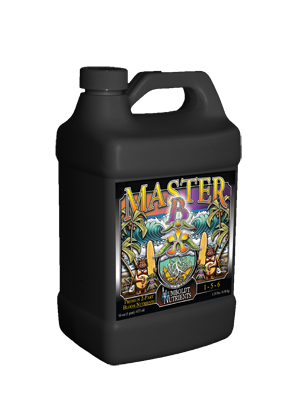 Master-B-gallon-2