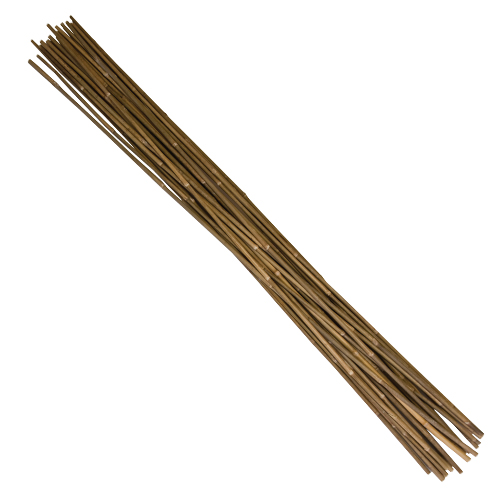 bamboo4ft