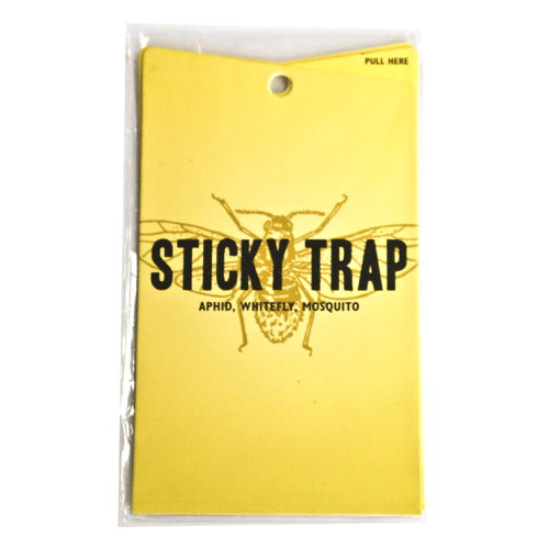 Sticky Traps (yellow)