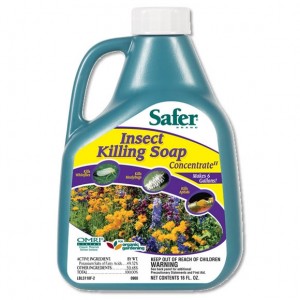 Safer Brand Insect Killing Soap (Insecticidal Soap)