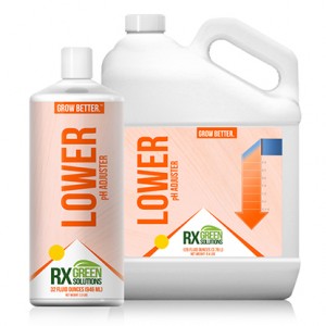 Rx Green Solutions Lower