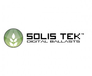 solisteklogolarge