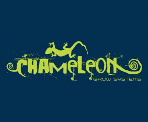 cham_logo