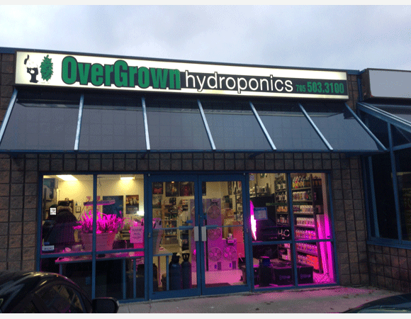 Overgrown Hydroponics