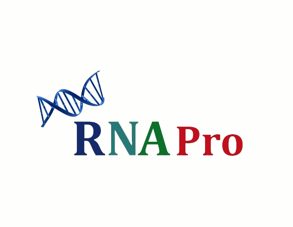 RNA Pro (Tobacco Virus)