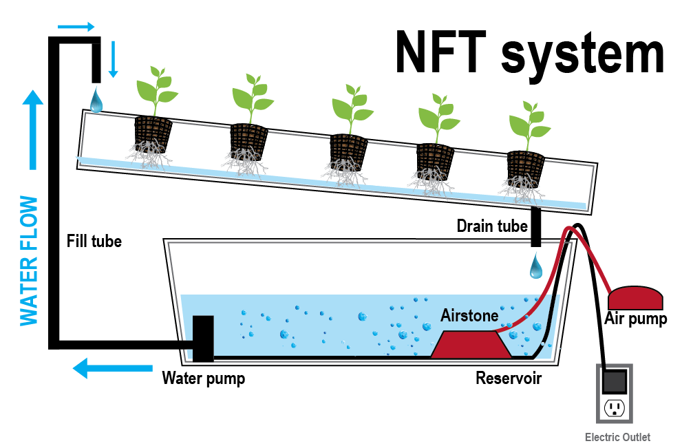 Which Hydroponic System is right for your Grow ...
