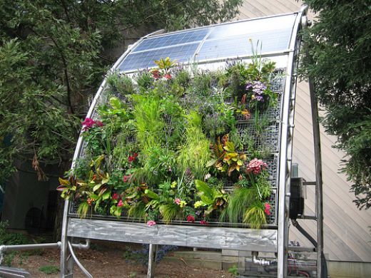 Solar-powered hydro garden