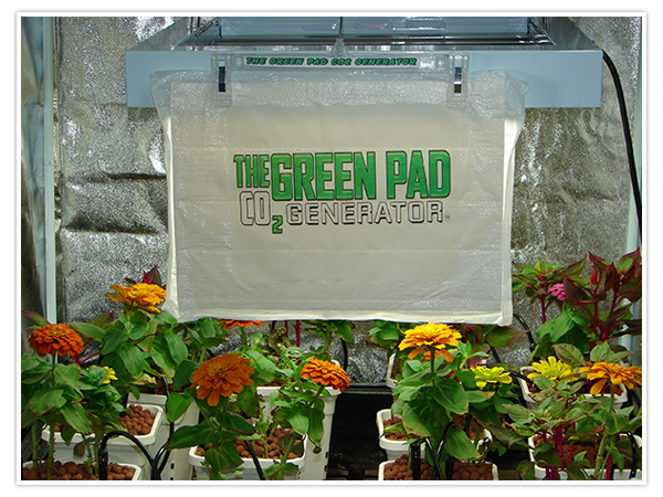 The Green Pad - CO2 Generator