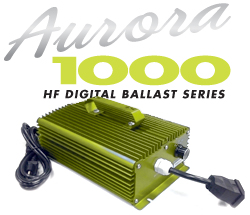 Aurora 1000 High Frequency Digital Ballast
