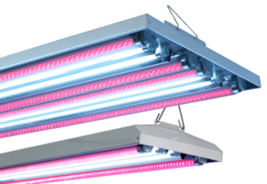 AgroLED LED/T5 HO Combination Fixtures