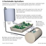 aquaponics