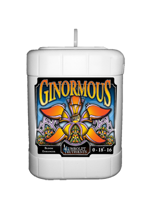 Ginormous-5-gallon