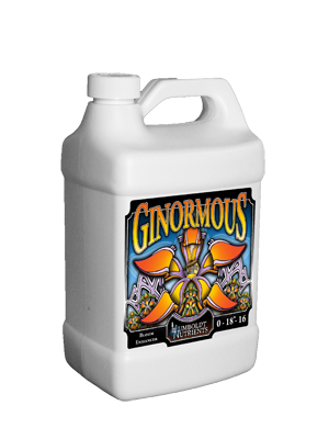 Ginormous-gallon-2