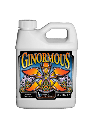 Ginormous-quart