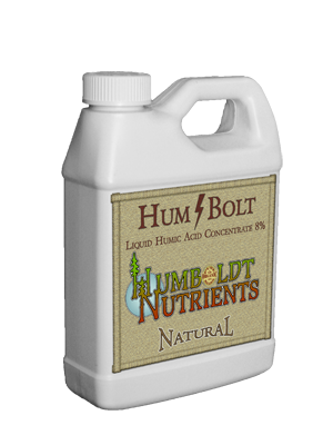 hum-bolt-quart-2