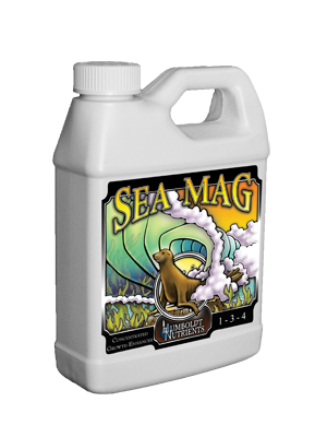 sea-mag-quart-2