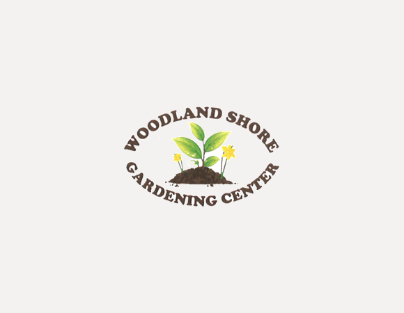 Woodland Shore LLC