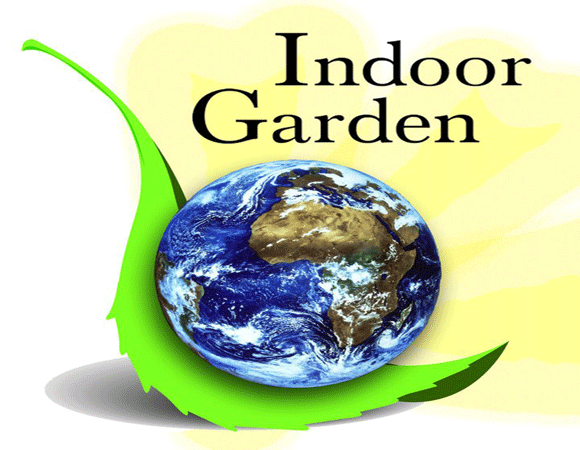 Indoor Garden And Lighting (Lynnwood)