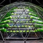 Hydroponic: It Will Save Your Garden and The World