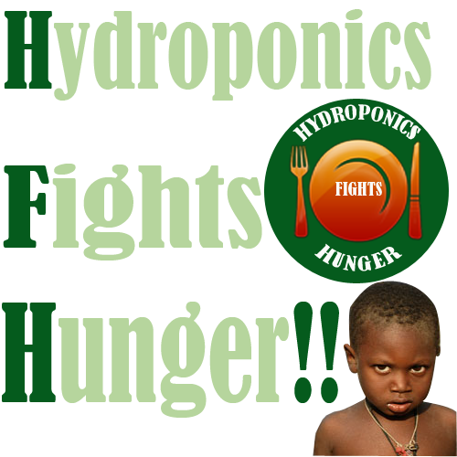hydroponics-fights-hunger
