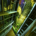 The-Currents-Living-Wall-Green-Over-Grey-15