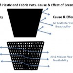 Fabric vs plastic plant pots